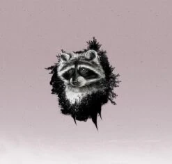 European Knit, French Terry, Oeko-Tex, Raccoons Panel 80cm Mauve