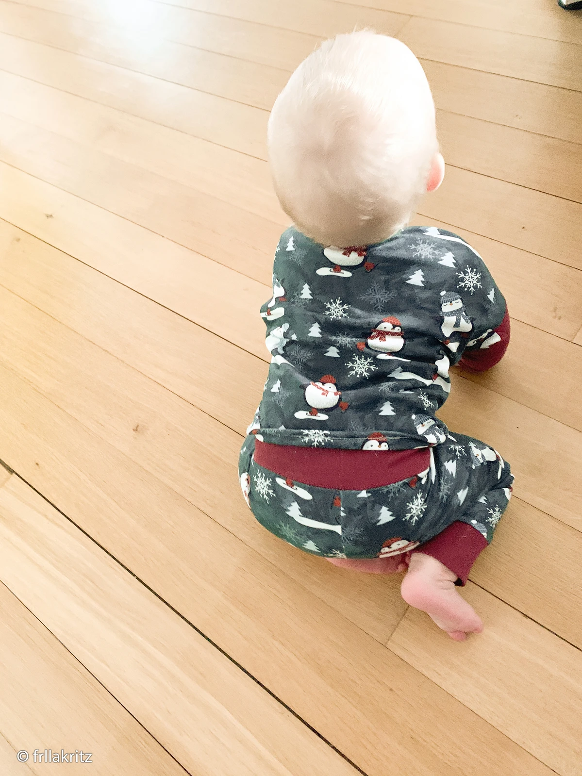 European Jogging Sweater Knit, Oeko-Tex, Penguins Blue 8 European Jogging Sweater Knit, Oeko-Tex, Penguins Blue - Image 8