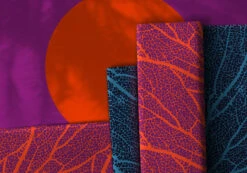 European Cotton Elastane Jersey, Oeko Tex, Coral Dark Blue -Tailor Supplies Sales 2024 8102 6