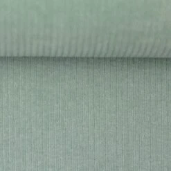 European Stretch Velour Corduroy Jersey, Honeydew