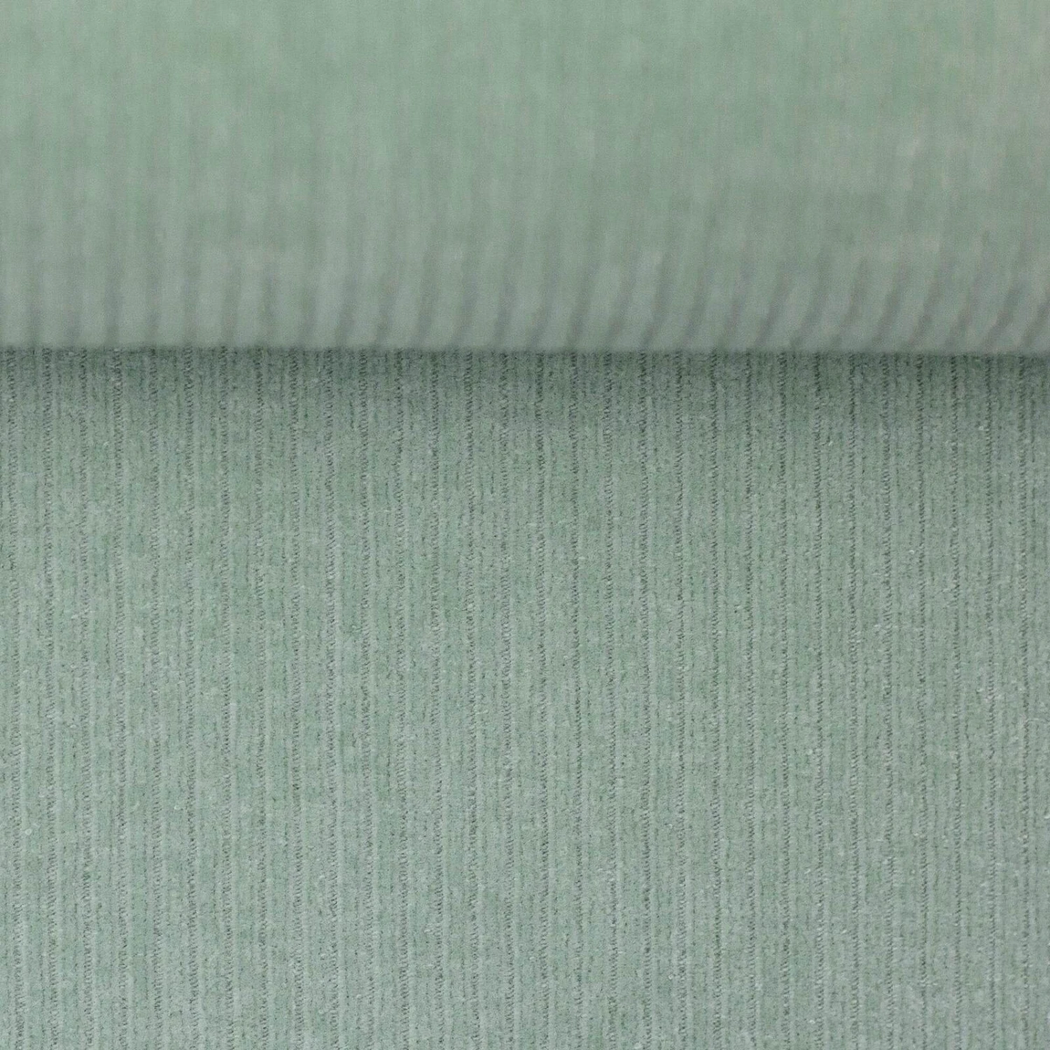 European Stretch Velour Corduroy Jersey, Honeydew 1 European Stretch Velour Corduroy Jersey, Honeydew
