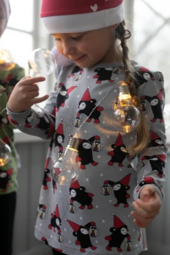 PaaPii Design, GOTS Organic Jersey, Elf Grey Red -Tailor Supplies Sales 2024 9010